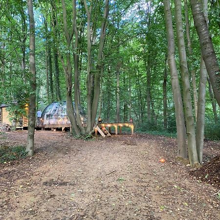 Le Dome De Namur - Une Nuit Insolite Dans Les Bois Екстер'єр фото