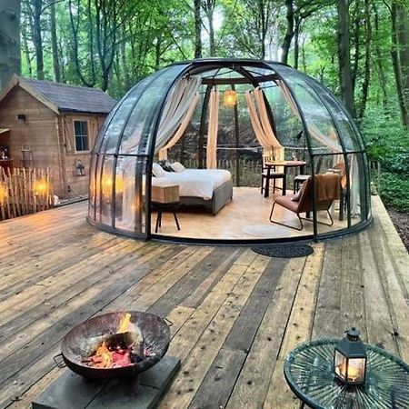 Le Dome De Namur - Une Nuit Insolite Dans Les Bois Екстер'єр фото