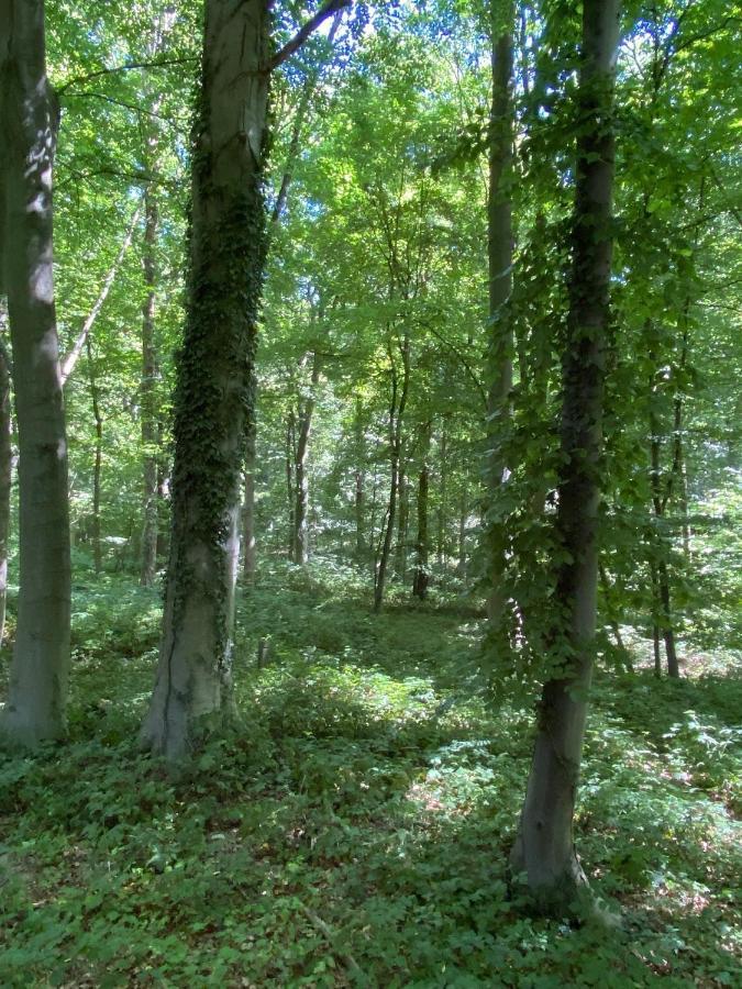 Le Dome De Namur - Une Nuit Insolite Dans Les Bois Екстер'єр фото