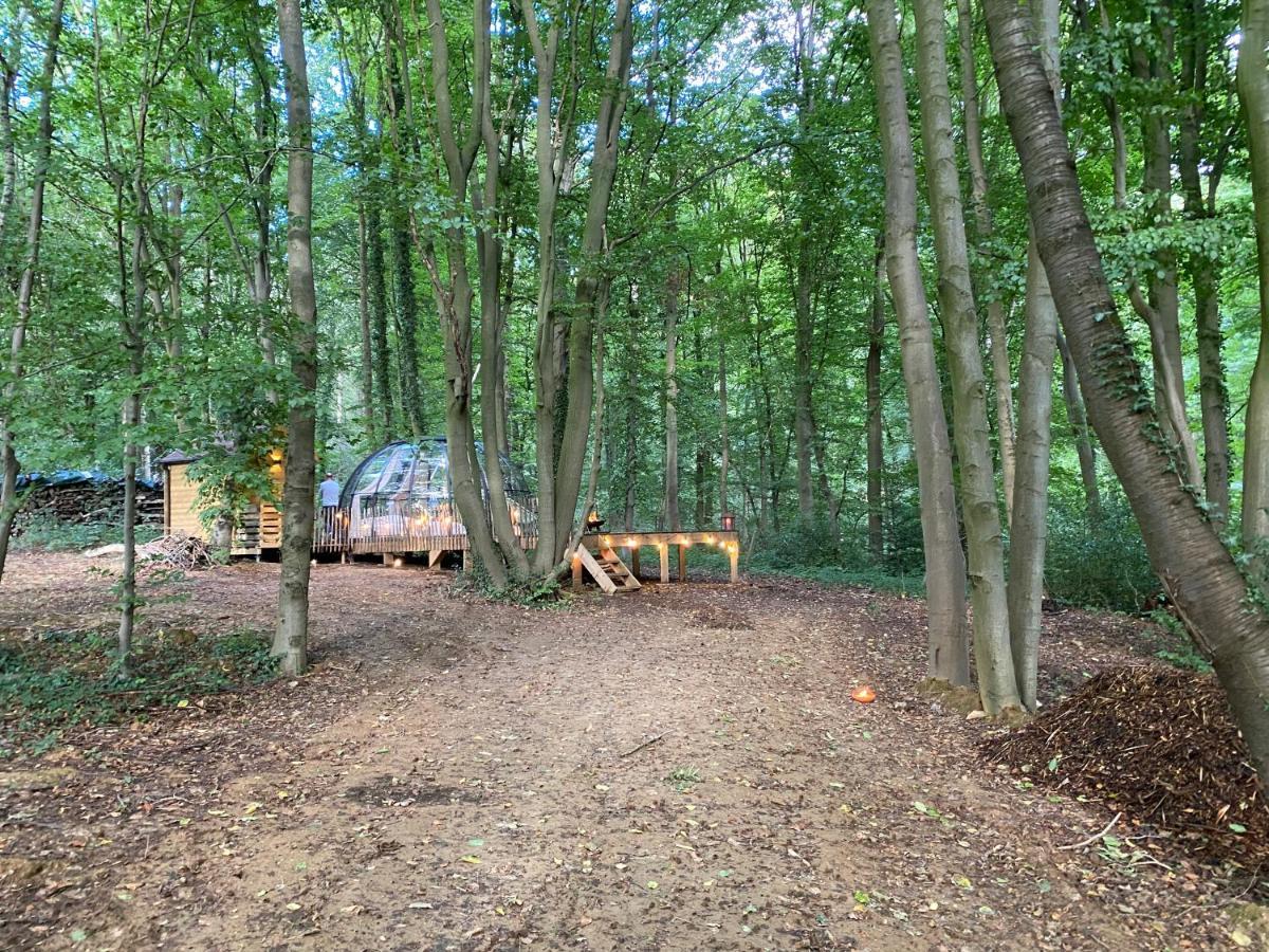 Le Dome De Namur - Une Nuit Insolite Dans Les Bois Екстер'єр фото
